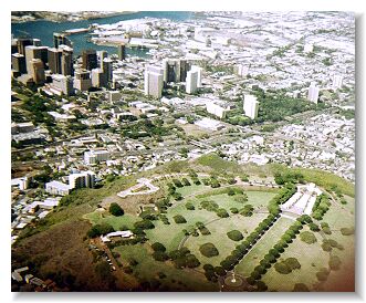 �Z�X�i����p���`�{�E���̋u�ƃ_�E���^�E����]�ށB