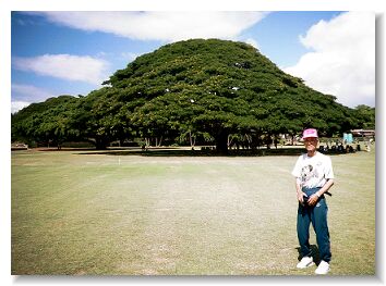 �u���̖؁A���̖؁v��CM�ŗL���ȃ��A�i���A�K�[�f���̋��؂̑O�ŁB